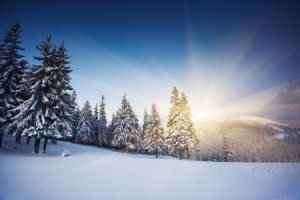 Debra Reble Winter Solstice: The Return of the Light