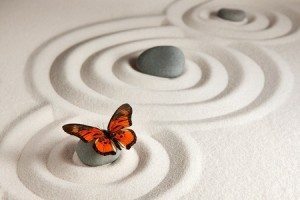 Butterfly Zen Garden Rock Sand