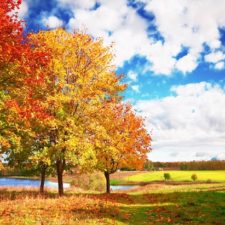 Autumn: A Time of Transformation by Dr. Debra Reble