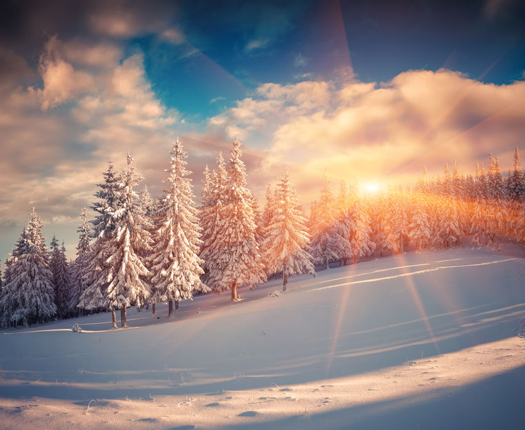 A Reflection Practice for the Winter Solstice by Dr. Debra Reble 